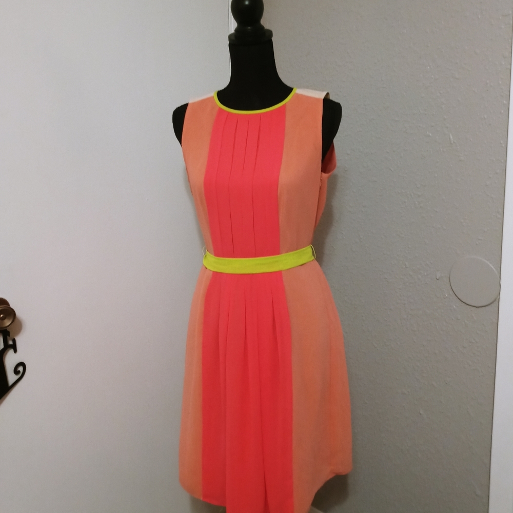 Never Worn Ann Taylor Loft Dress